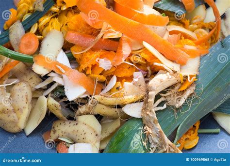 Kitchen Vegetable Waste for Compost Stock Photo - Image of environment, closeup: 100969868