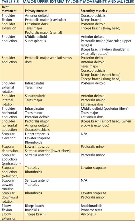 Image result for muscle agonist and antagonist list | Physical therapy ...