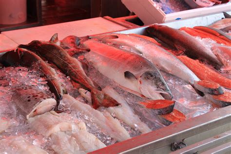 Free Images : sea, ice, food, seafood, market, display, milkfish, cod, fish stand, red snapper ...