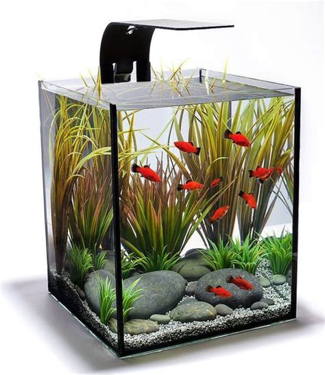 Amazing Aquarium Design Ideas For Indoor Decor 29 (com imagens) | Aquario pequeno, Como montar ...