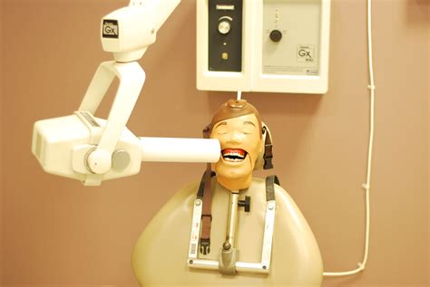 Dental Hygiene Program Making X-Rays Safer | Harbinger Student Media