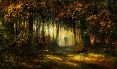 Wallpaper : sunlight, drawing, forest, fall, leaves, reflection, branch, morning, jungle, swamp ...