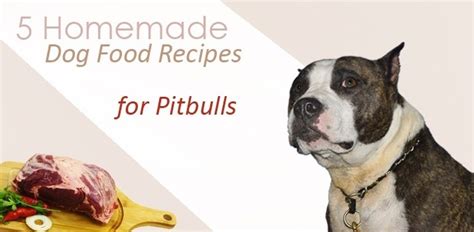 5 Homemade Dog Food Recipes for Pitbulls | Daily Dog Stuff