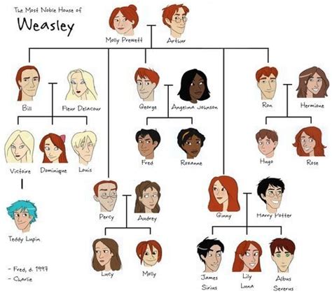 The illustrated Weasley family tree | Harry potter facts, Harry potter family tree, Harry potter ...