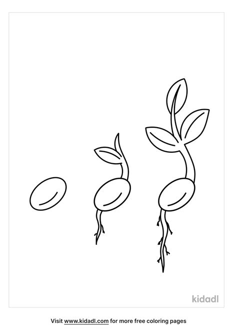 Free Seed Sprouting Coloring Page | Coloring Page Printables | Kidadl