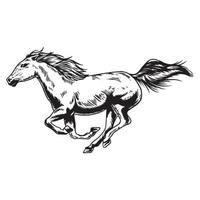 Horse Vector Art, Icons, and Graphics for Free Download