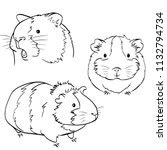 Guinea Pig Illustration Clipart Free Stock Photo - Public Domain Pictures