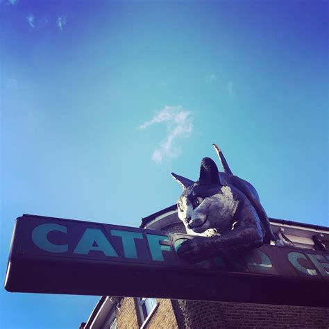 A Brief History of The Catford Cat — South London Club