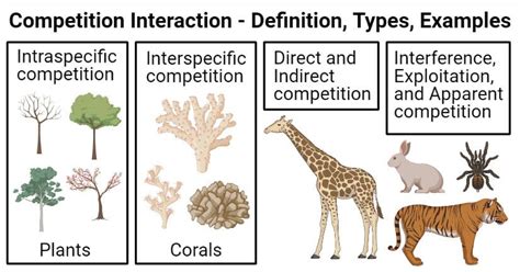 Interactions Between Organisms - KaratuCastaneda