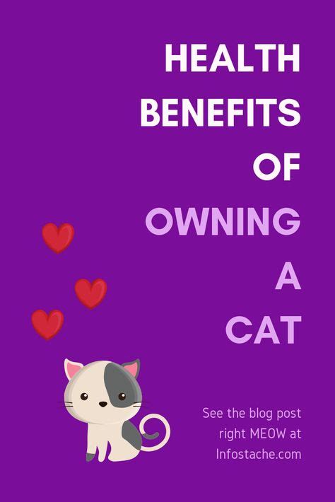 4 Health Benefits of Owning a Cat [Infographic] | Cat infographic ...