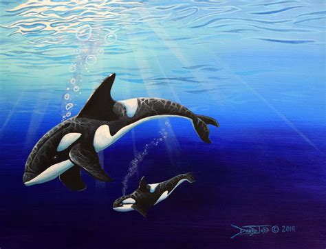 Orca dreams /original acrylic painting /mother and calf orcas/ | Etsy