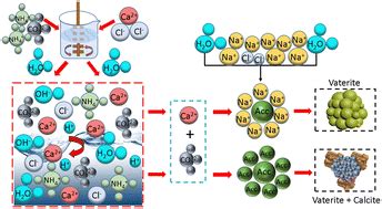 Influence of Na+ on vaterite formation, content and yield using steamed ammonia liquid waste as ...