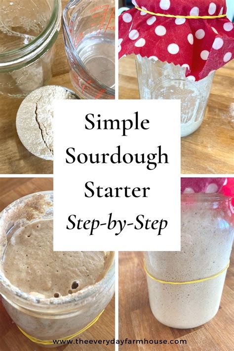 Sourdough Starter Recipe | Simple Easy Sourdough Starter Step by Step - The Everyday Farmhouse