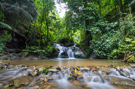 Jungle Trekking in Thailand's Kanchanaburi Province