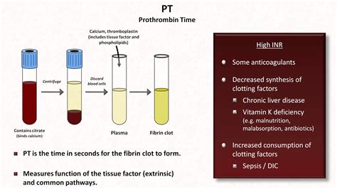 Hemostasis: Lesson 4 - Tests (INR, PTT, platelets, fibrinogen, D-dimer) - YouTube