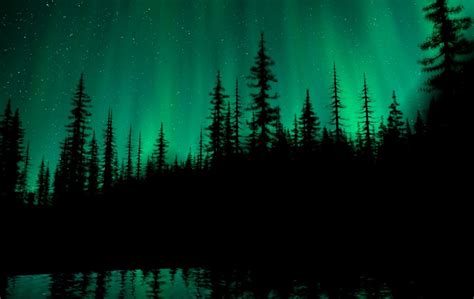 Aurora Forest Desktop Wallpaper | Mega Wallpapers