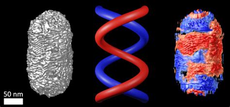 A new method to quantify structural helicity in chiral nanoparticles (w/video)