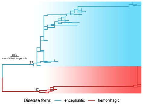 The phylogenetic tree reconstructed with the polyprotein regions... | Download Scientific Diagram