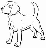 Beagle Coloring Pages  Free Printable For Kids sketch template