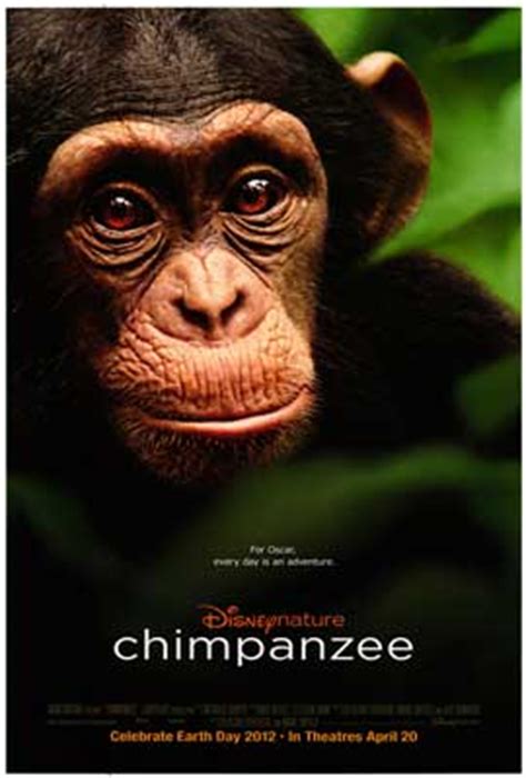 Disneynature's Chimpanzee Balances Loss and Hope | WIRED