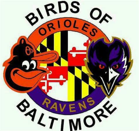 Baltimore Ravens and Orioles Wallpaper - WallpaperSafari