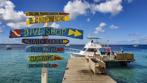 Buddy Dive Resort - 12 Boat Dive Special - Bonaire | Maduro Dive | Exclusive Scuba Diving Packages