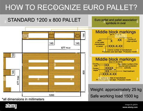 Plan view with dimensions of a euro pallet. Flat vector Stock Vector Art & Illustration, Vector ...