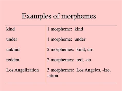 PPT - Morphology Morphological analysis PowerPoint Presentation, free download - ID:6528118