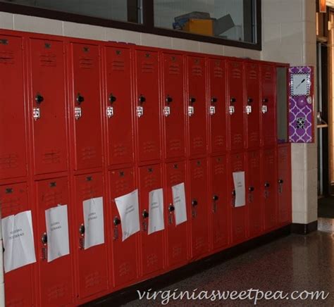 Decorate a Locker with LockerLookz - Sweet Pea