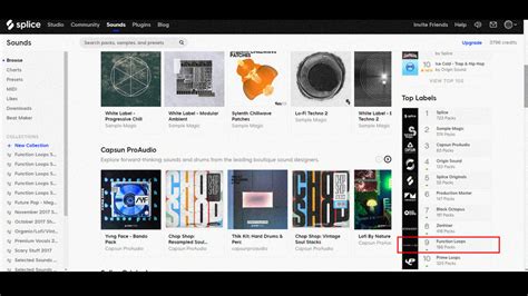 Function Loops Hits No.9 @ Splice Main Charts - Function Loops Blog