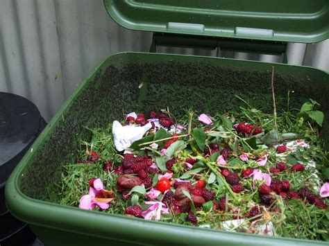 The Compost Bin: Hungry Bin update - Day 9 and the worms are thriving :-)