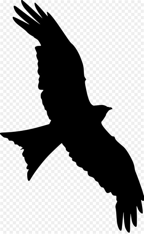 Free Flying Hawk Silhouette, Download Free Flying Hawk Silhouette png ...