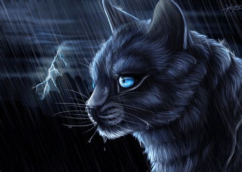 Warrior Cats Wallpaper Bluestar ·① WallpaperTag