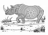 Rhino Face Coloring Page sketch template
