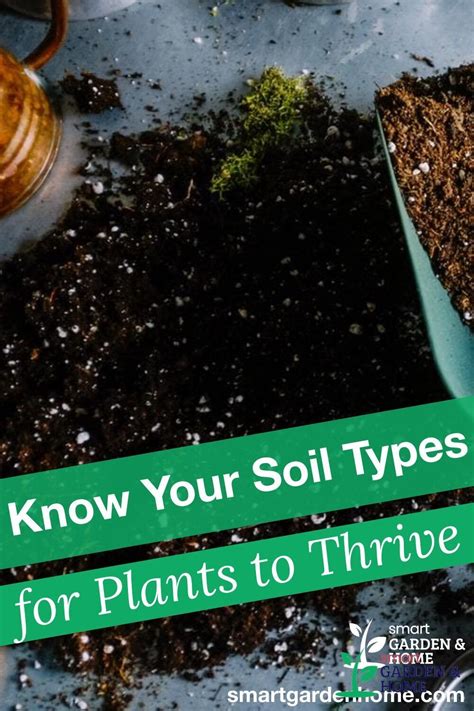 Know Your 6 Soil Types For Plants to Thrive | Types of soil, Organic ...