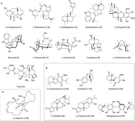 Construction of all-carbon quaternary stereocenters by catalytic ...