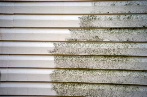 How Siding Cleaning Protects Your Home | Lily's SoftWash