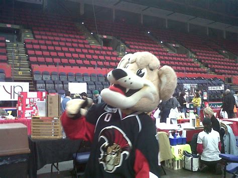 Binghamton Senators Mascot Sports Advertising, Binghamton, Senate, Mascot, Expo, Boring, Interactive