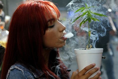 Study Suggests Toxins in Marijuana Smoke Are Similar to Cigarettes - InsideHook