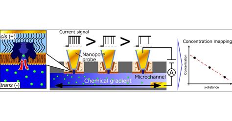 Spatially Resolved Chemical Detection with a Nanoneedle-Probe-Supported ...