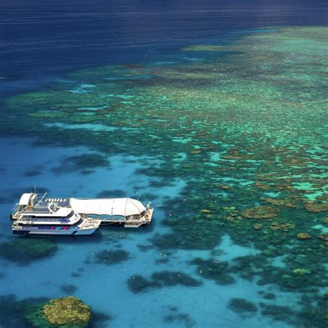 Great Barrier Reef facts for kids | Cairns Cruise