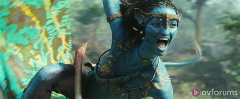 Avatar: Extended Collector's Edition Blu-ray Review | AVForums