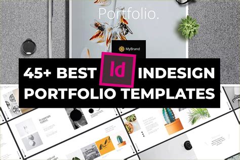 Free Graphic Design Print Portfolio Template - Resume Example Gallery
