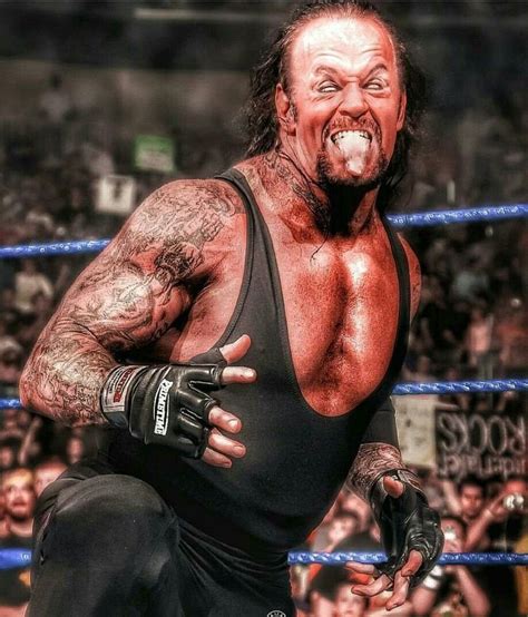 Undertaker | Wwe undertaker, Wwe kane, Undertaker