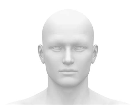 Blank White Male Head - Front view — Stock Photo © decade3d #22971972