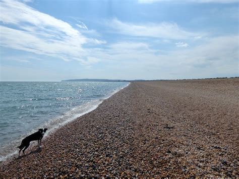 Winchelsea Beach © Simon Carey :: Geograph Britain and Ireland