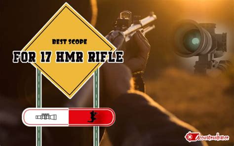 {TOP 5} Best Scope for 17 HMR Rifle Reviews (2023 Updated)