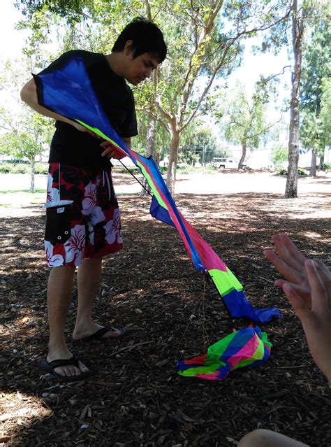 mygreatfinds: Large Delta Kite With Tail By Get Childish Review