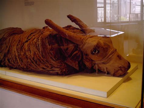 Mummification Museum, luxor, Egypt - Top Attractions, Things to Do ...