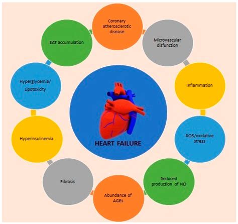 Nutrients | Free Full-Text | Cardiometabolic Care: Assessing Patients ...